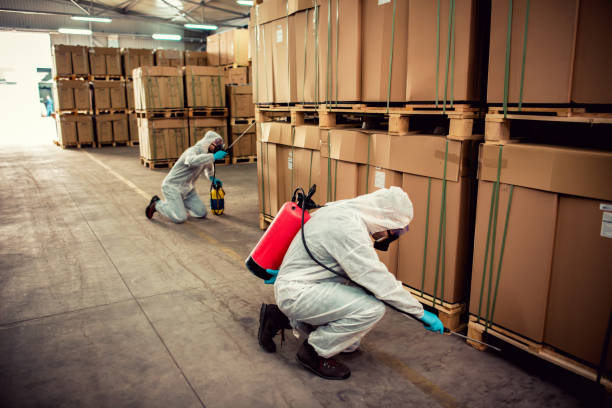 Best Local Pest Control Services  in Highland Lakes, AL