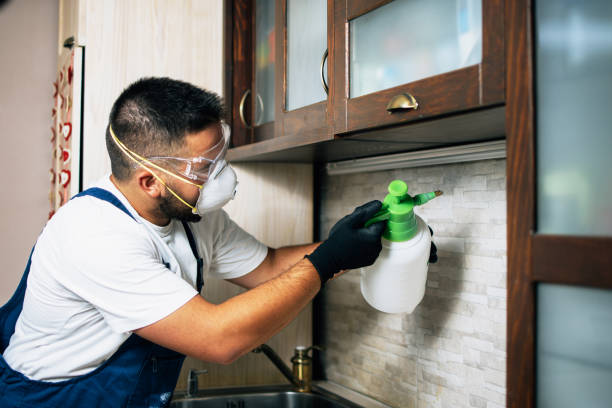 Flea Control Services in Highland Lakes, AL