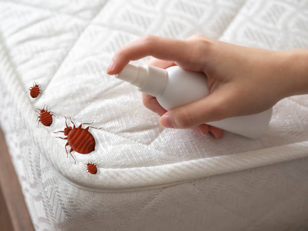 Pest Prevention Services in Highland Lakes, AL