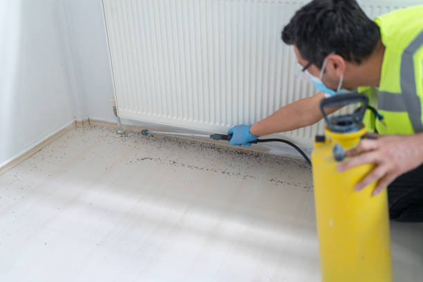 Best Emergency Pest Control  in Highland Lakes, AL