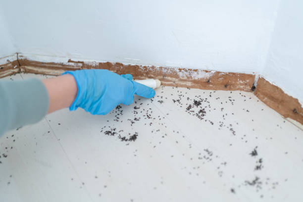 Wildlife Control Services in Highland Lakes, AL